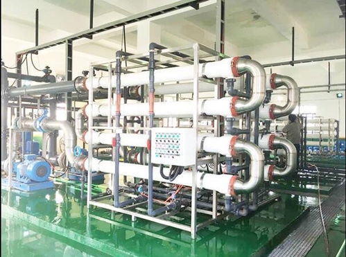 万德斯(787178)申购代码、价格、技巧及技术转让分析