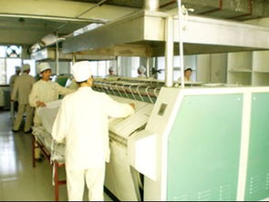 把握商机，承接优质资产 现成水洗厂整体与技术转让详解